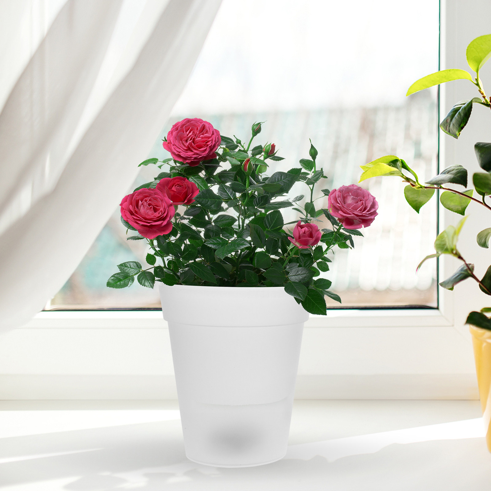 Flowerpot Solar Light Outdoor  - Christmas Lights Outdoor ulasan dan harga